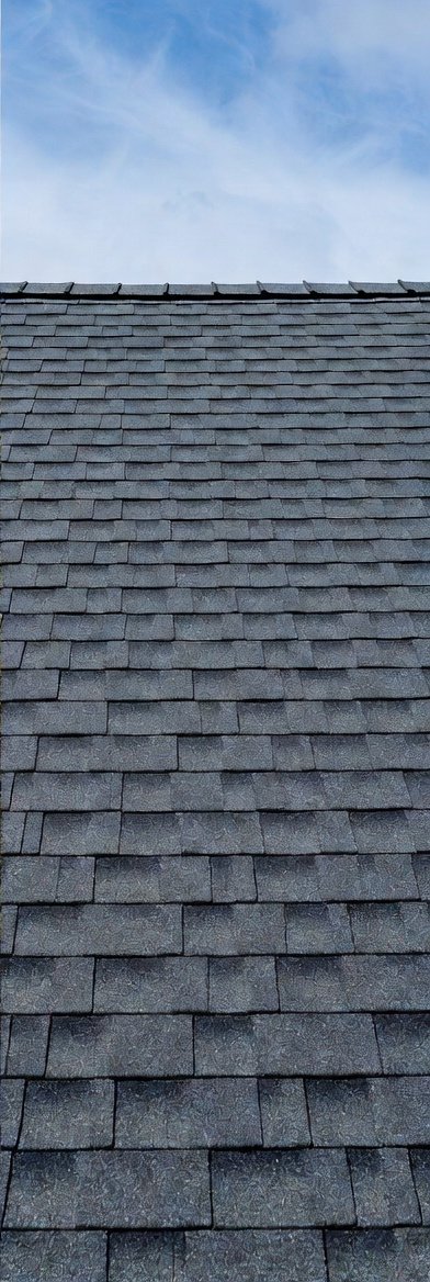 Roof Moss Removal after