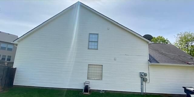 Mildew & Algae Removal after