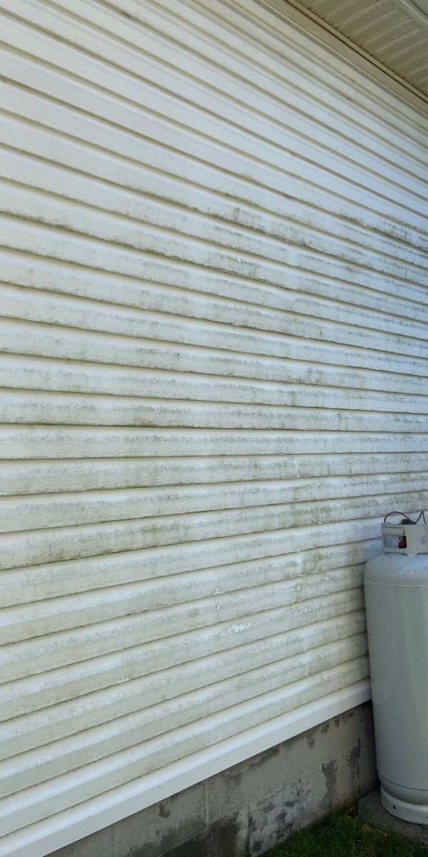 Algae-Streaked Siding before