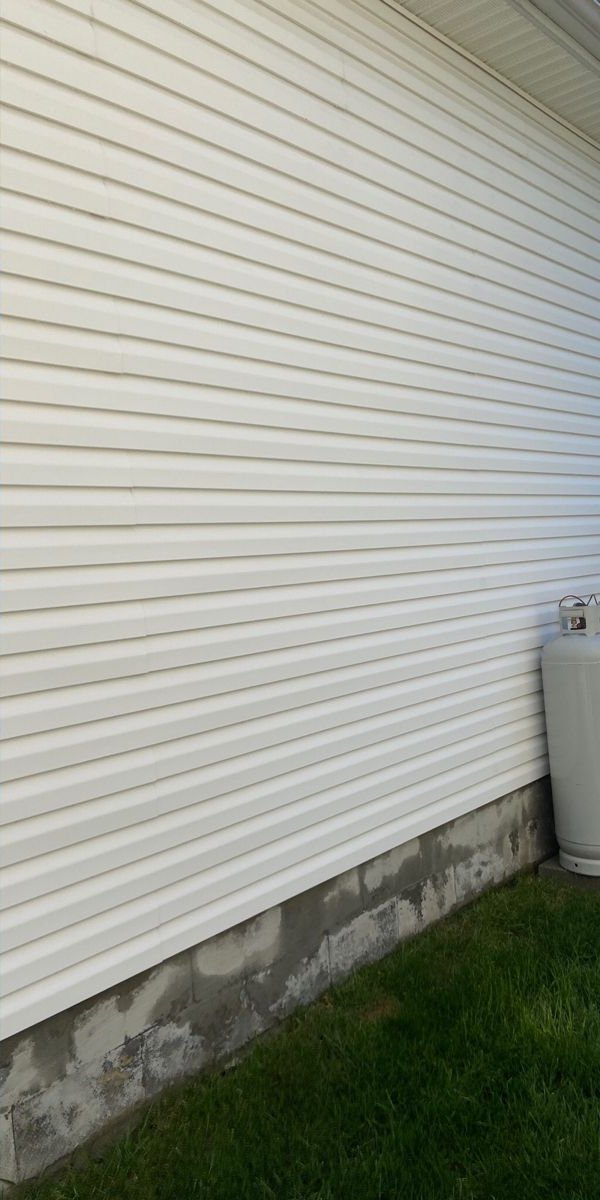 Algae-Streaked Siding after