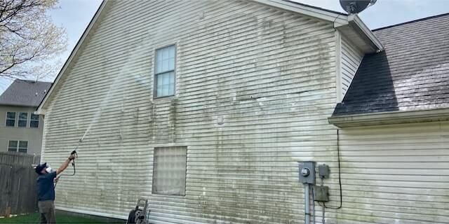 Mildew & Algae Removal before